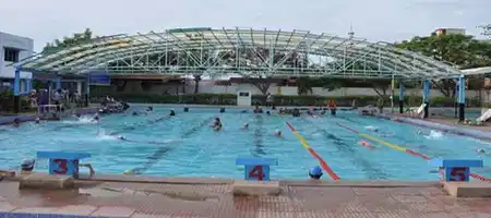 SDAT Dolphin Swimming Academy
