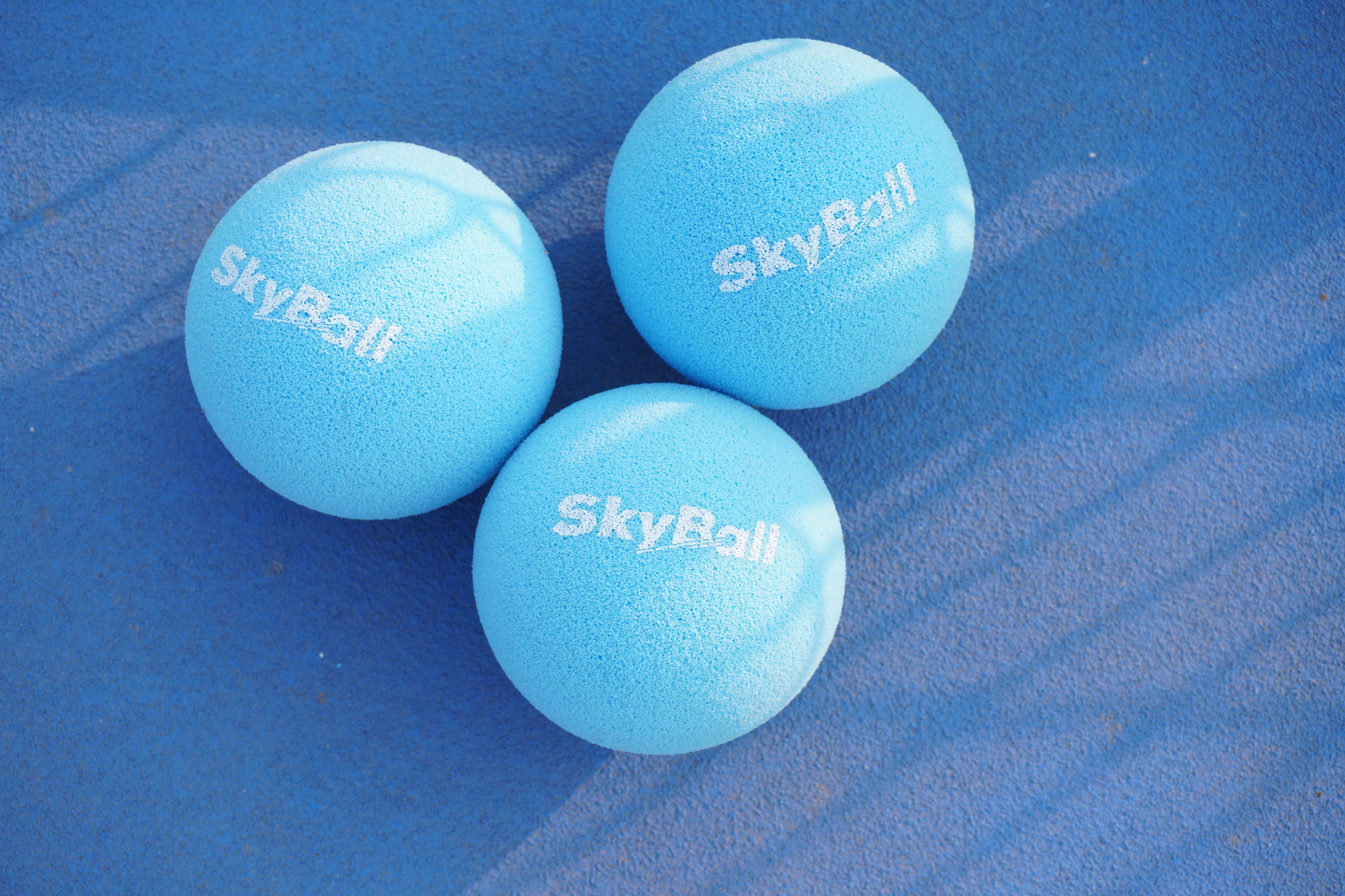 Shaishya Pulse Arena