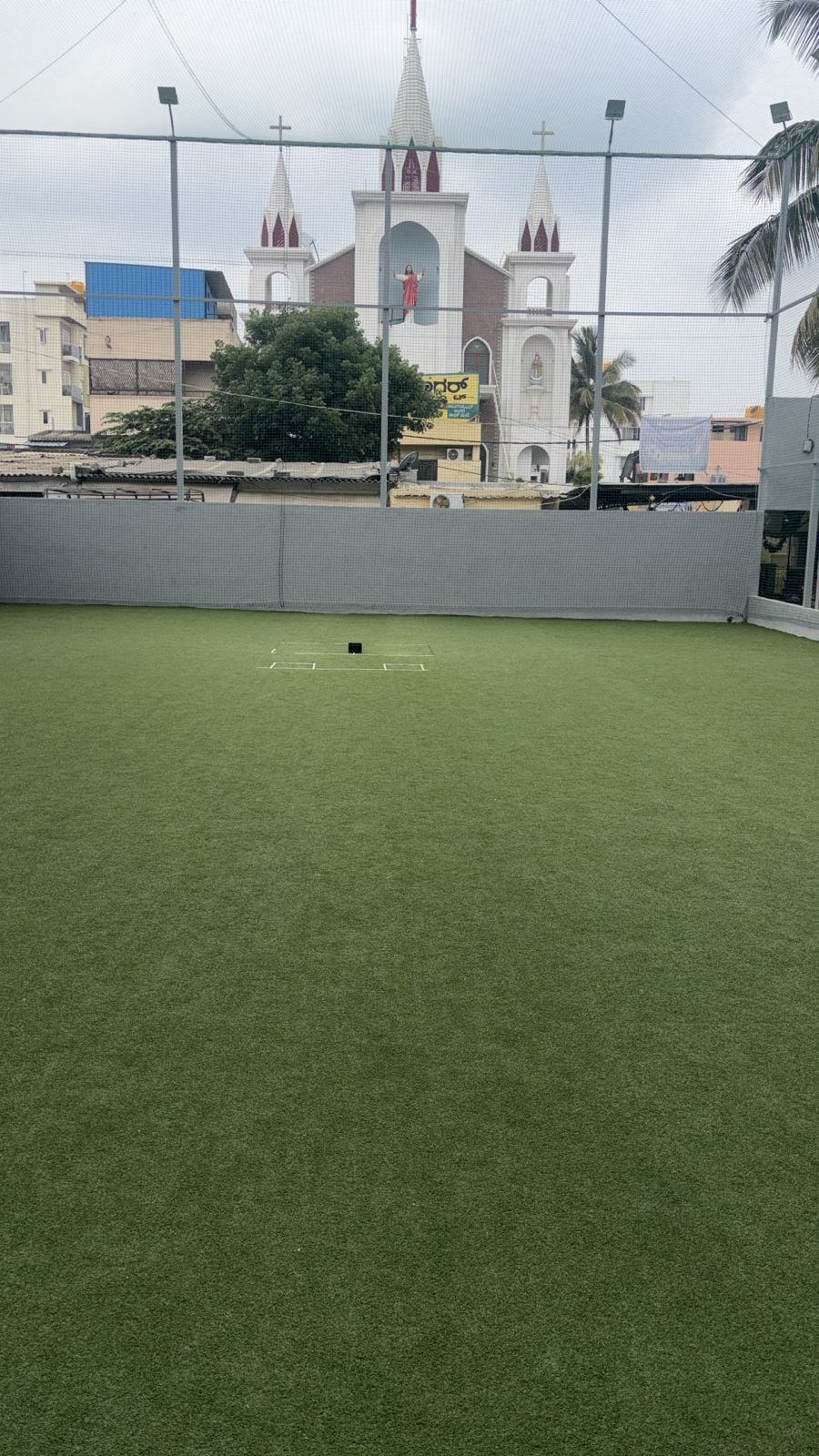 Turf photo 3