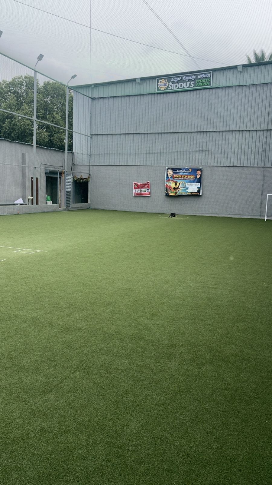 Turf photo 4