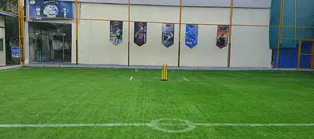 Sim Arena Box Cricket