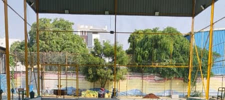 Sim Arena Box Cricket