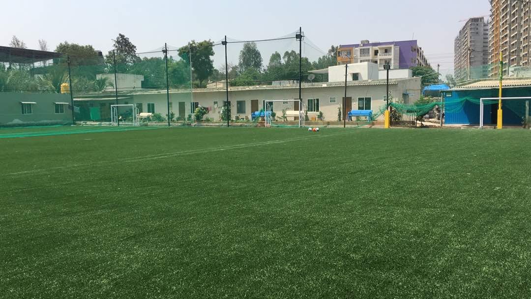 Turf photo 8