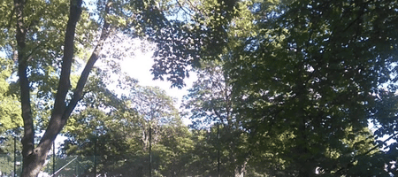 Skeppsholmens Tennisklubb