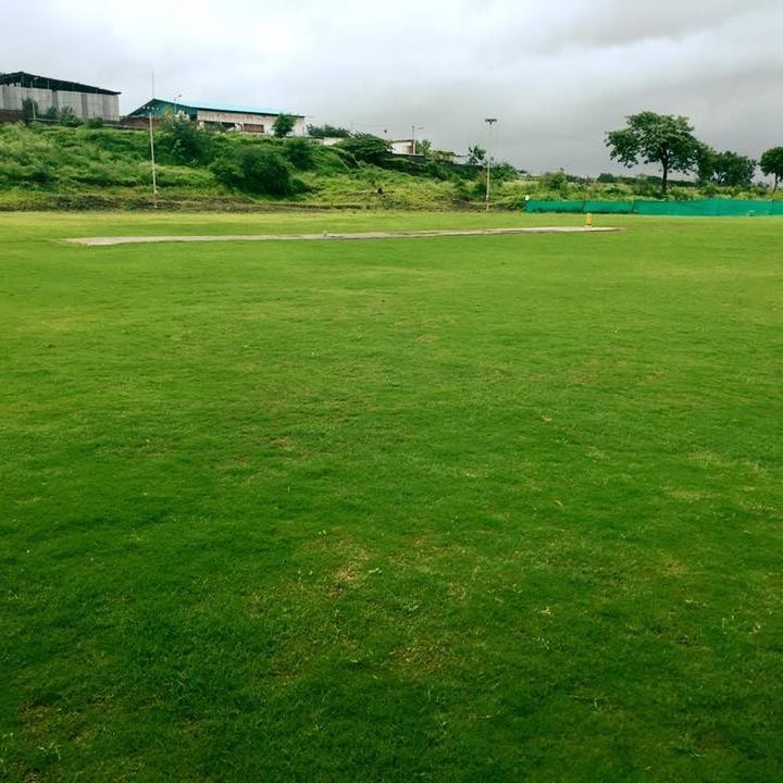 sky cricket ground image