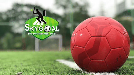 Skygoal - The Multisports Turf