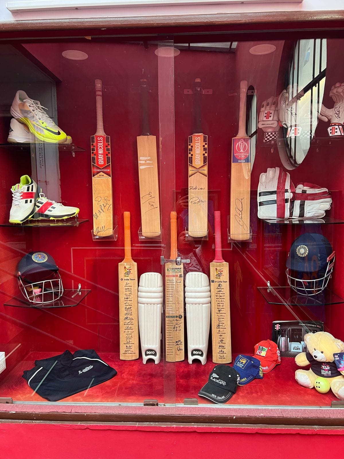 Smart Cricket Experience Zone