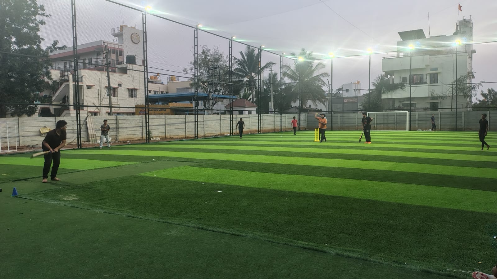 Turf photo 4