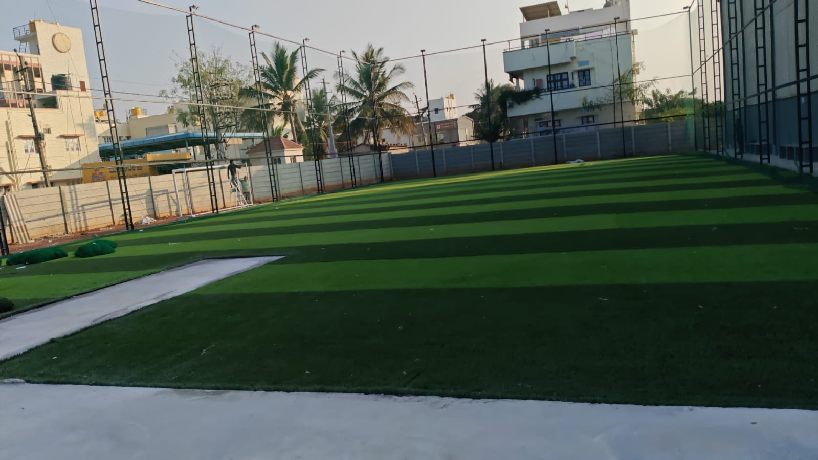Turf photo 8