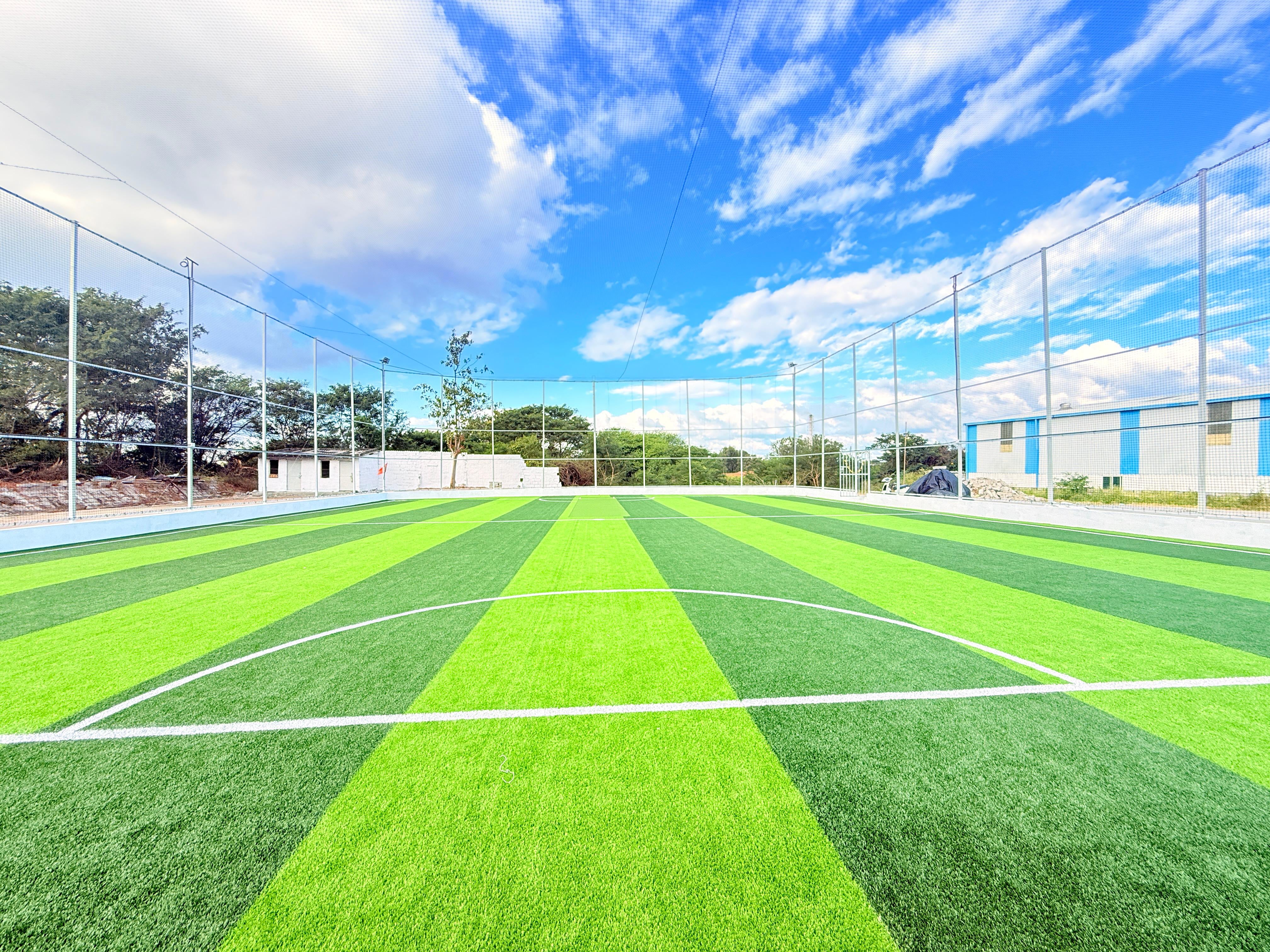 Turf photo 7