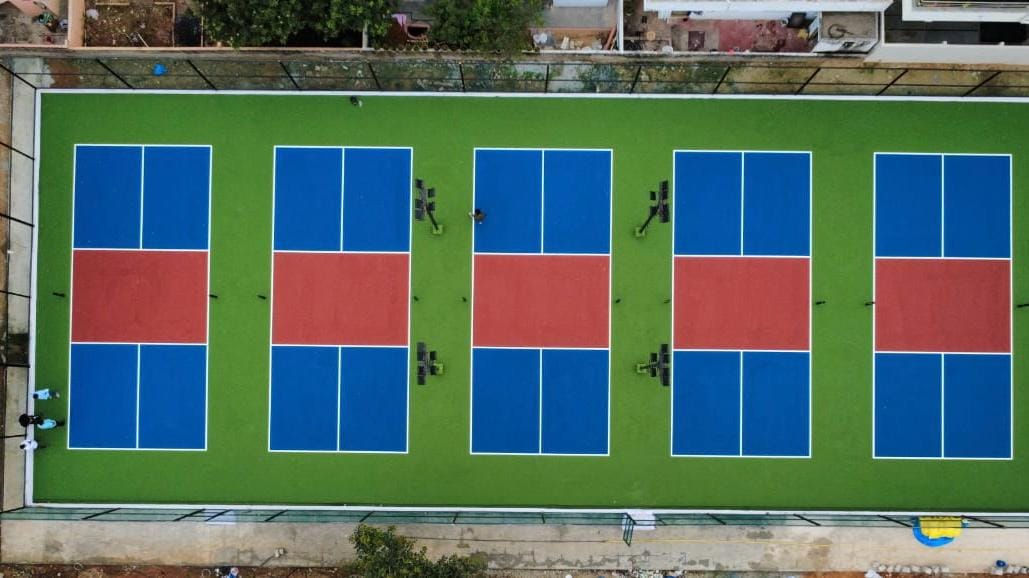 Smash & Serve - The Pickle Zone