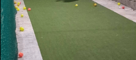 SN Cricket Academy