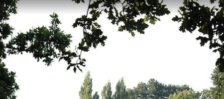 South Herts Golf Club