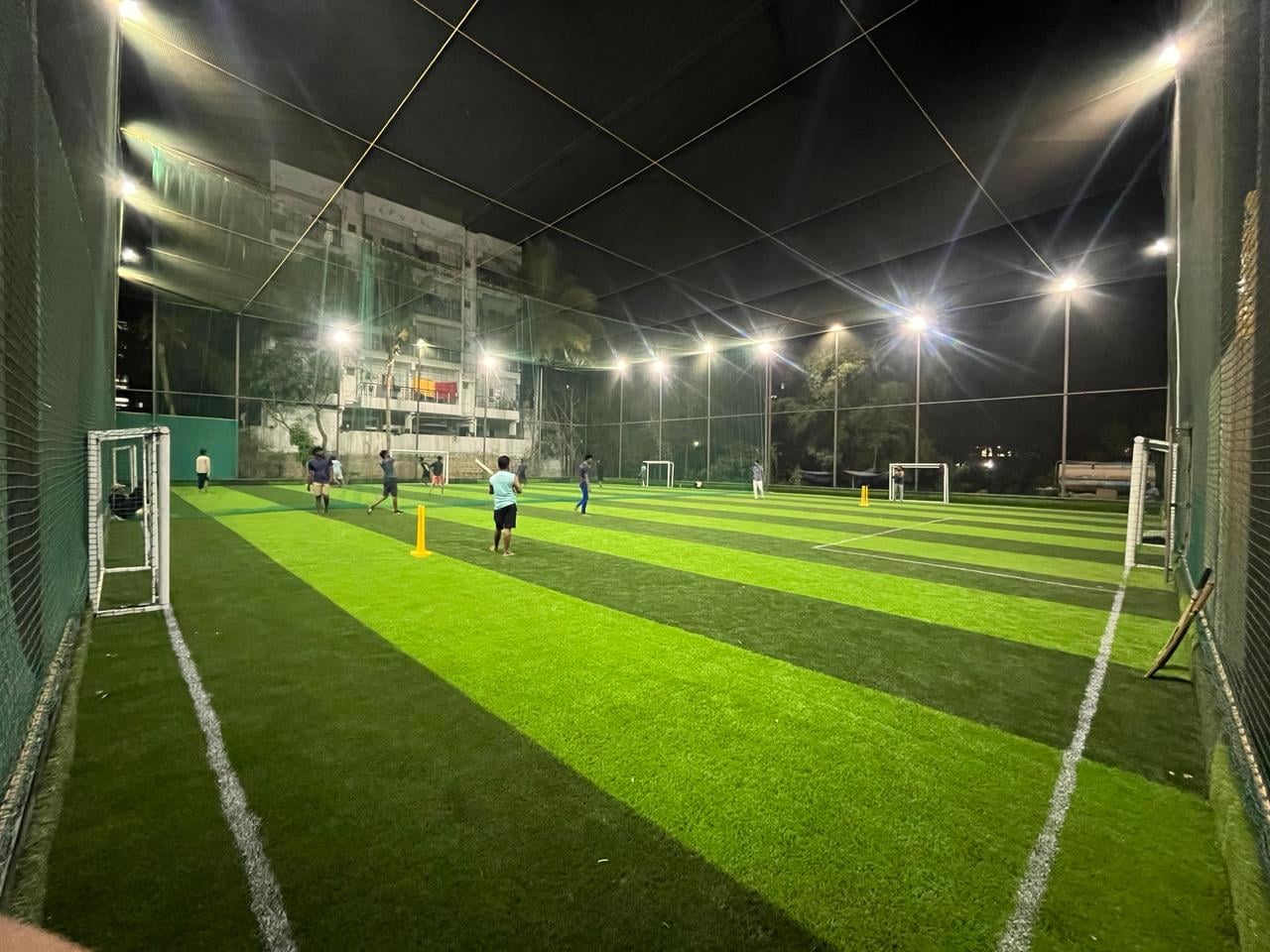 Turf photo 6