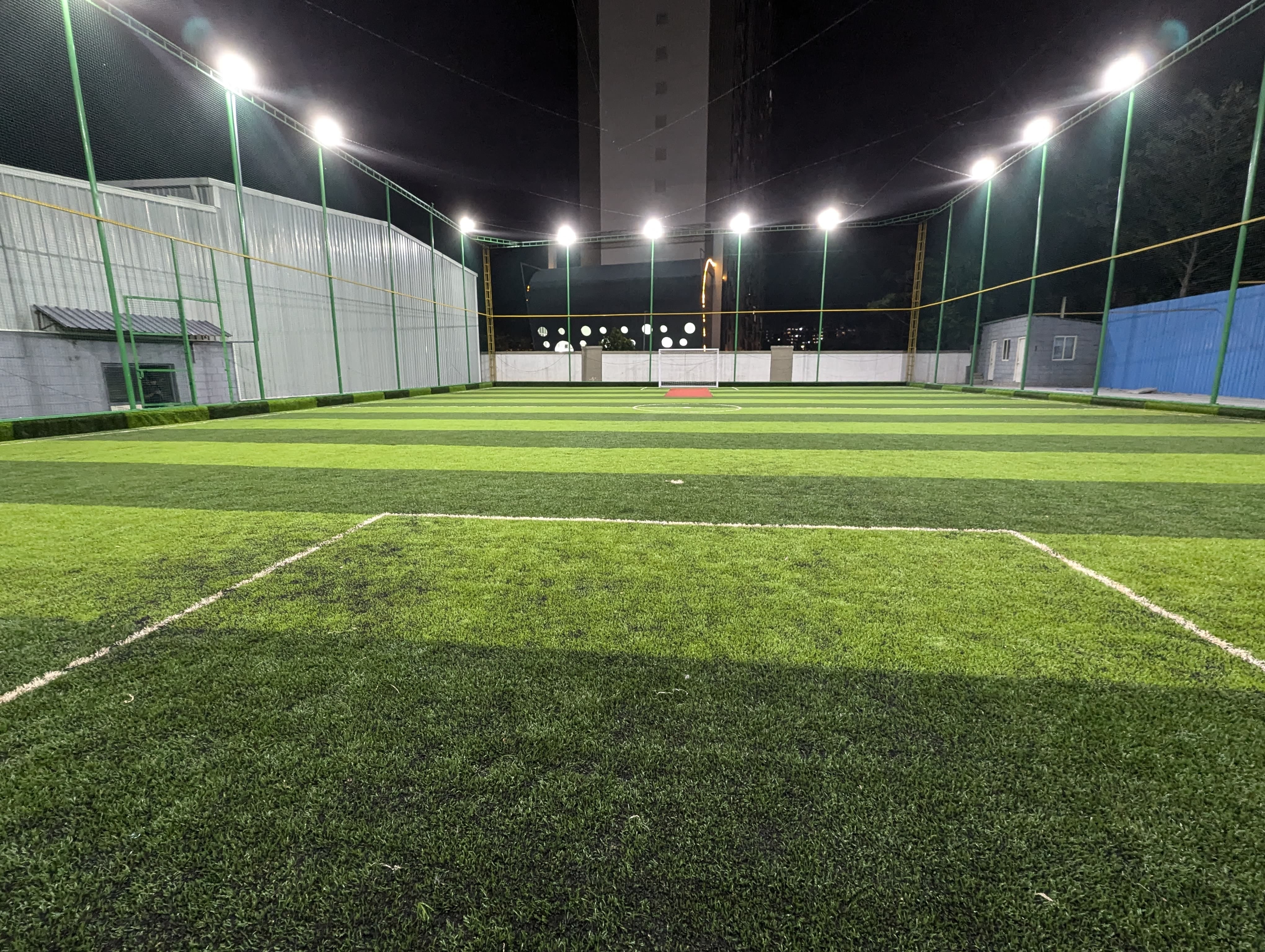 Turf photo 7