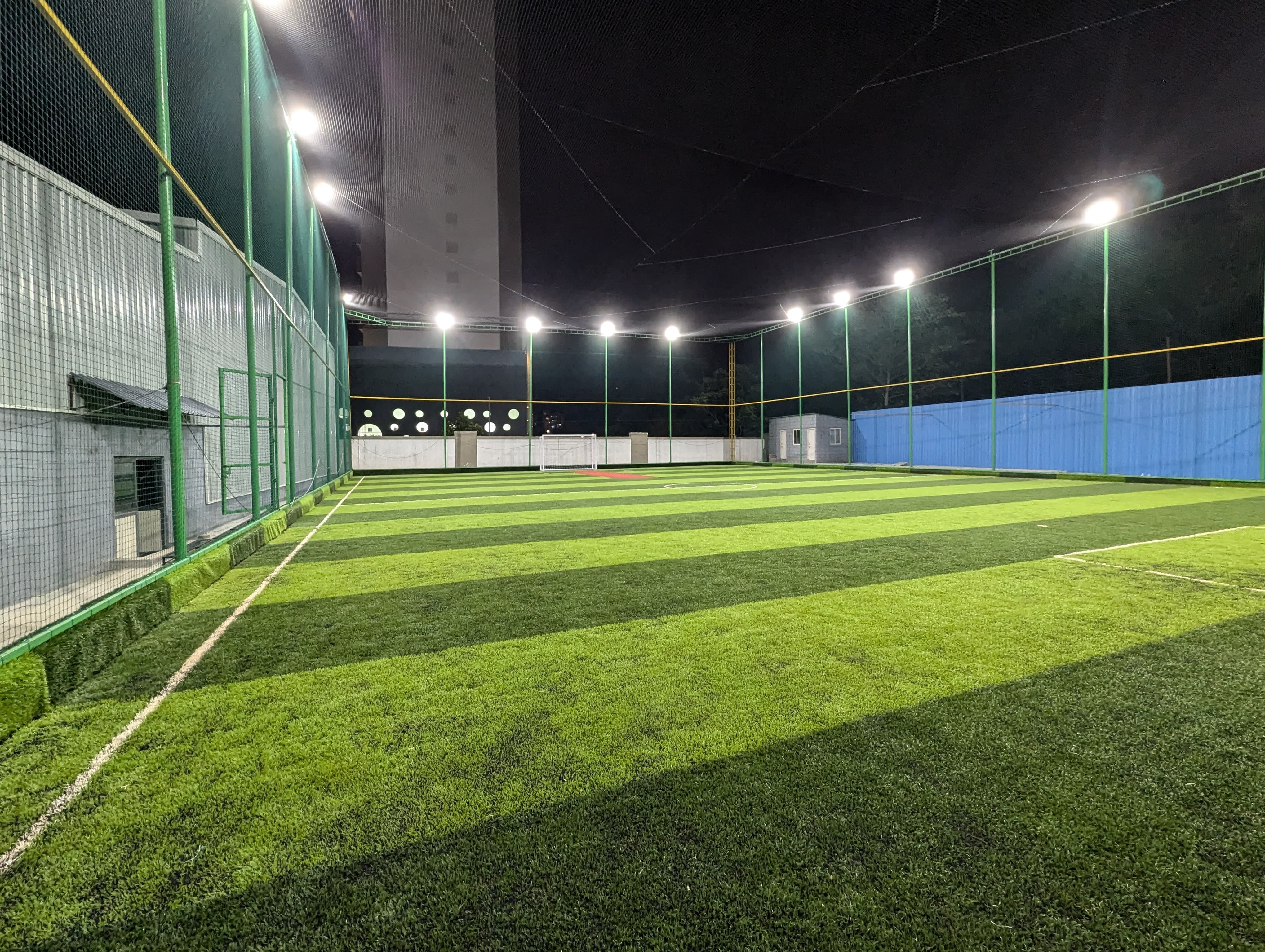 Turf photo 8