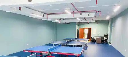 Spin and Smash Table Tennis Academy