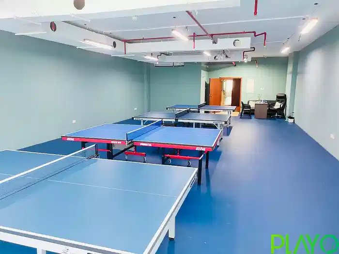 Spin and Smash Table Tennis Academy image