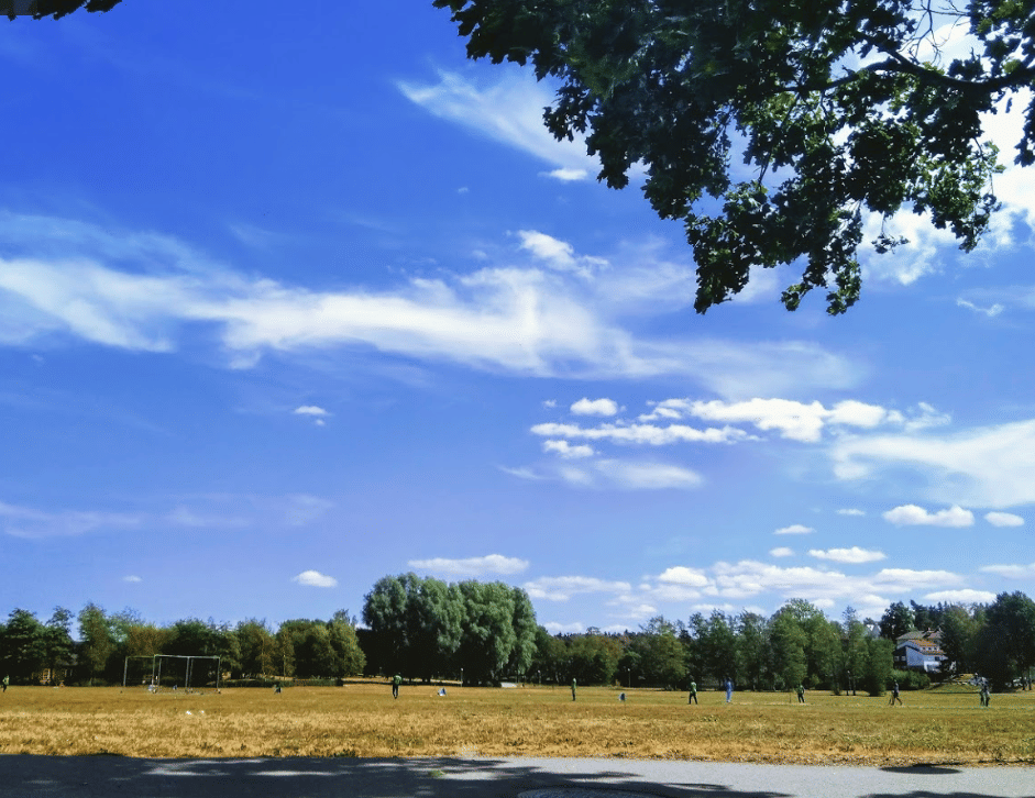 spånga cricket ground