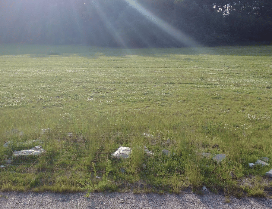 Spånga United Cricket Ground
