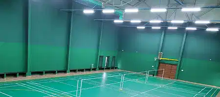 Play 365 Badminton