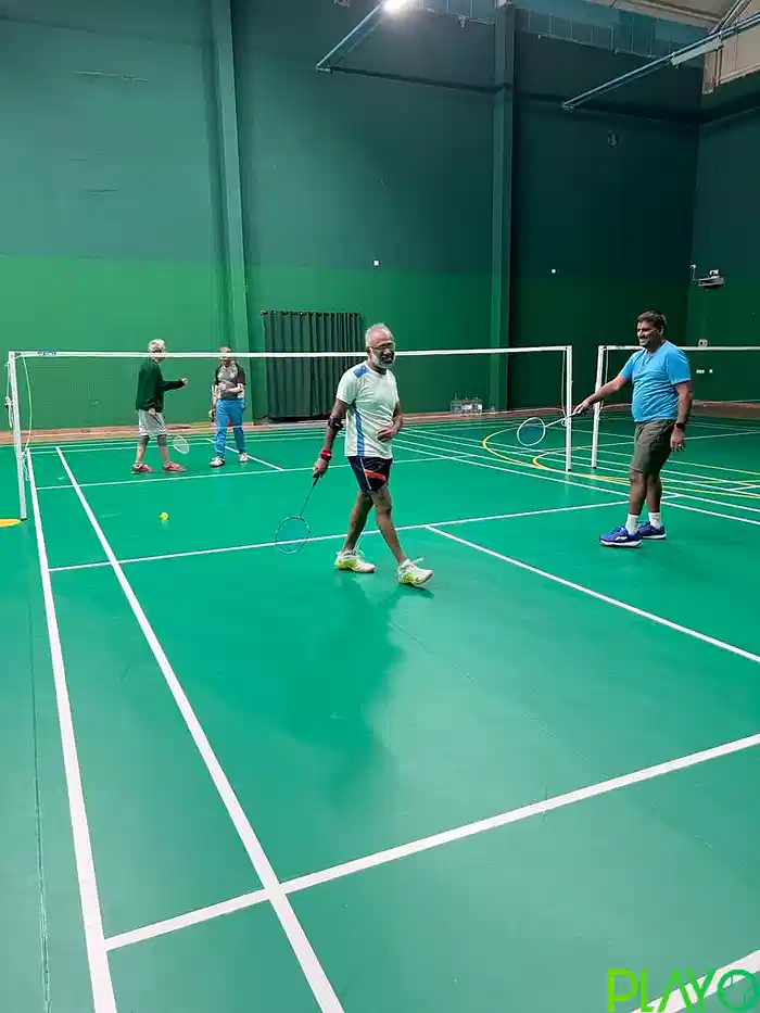 Play 365 Badminton image