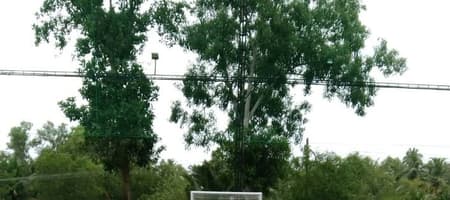 Sportigo Sports Turf