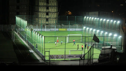SportingLions Sports Turf