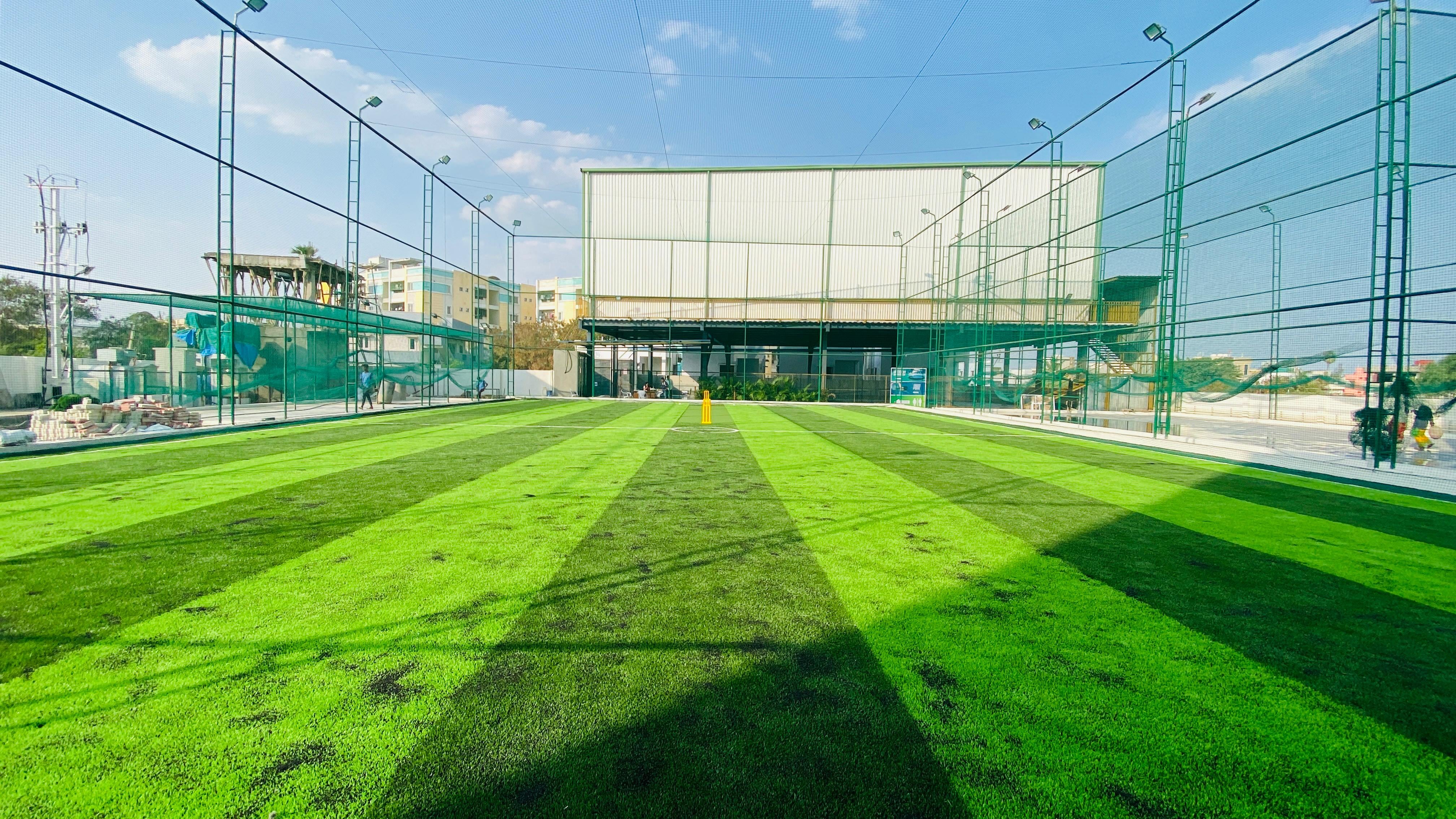 Turf photo 8