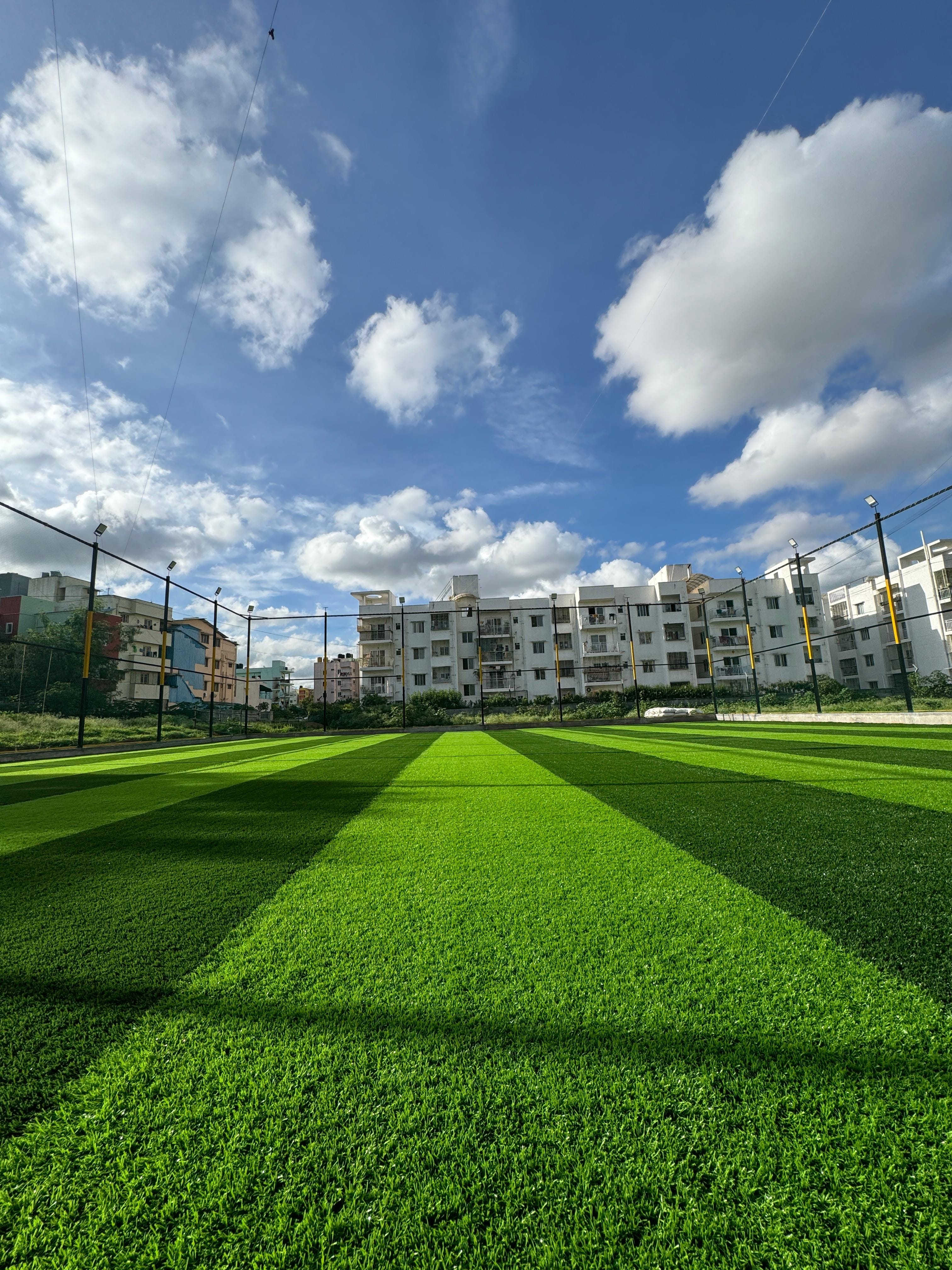 Turf photo 6
