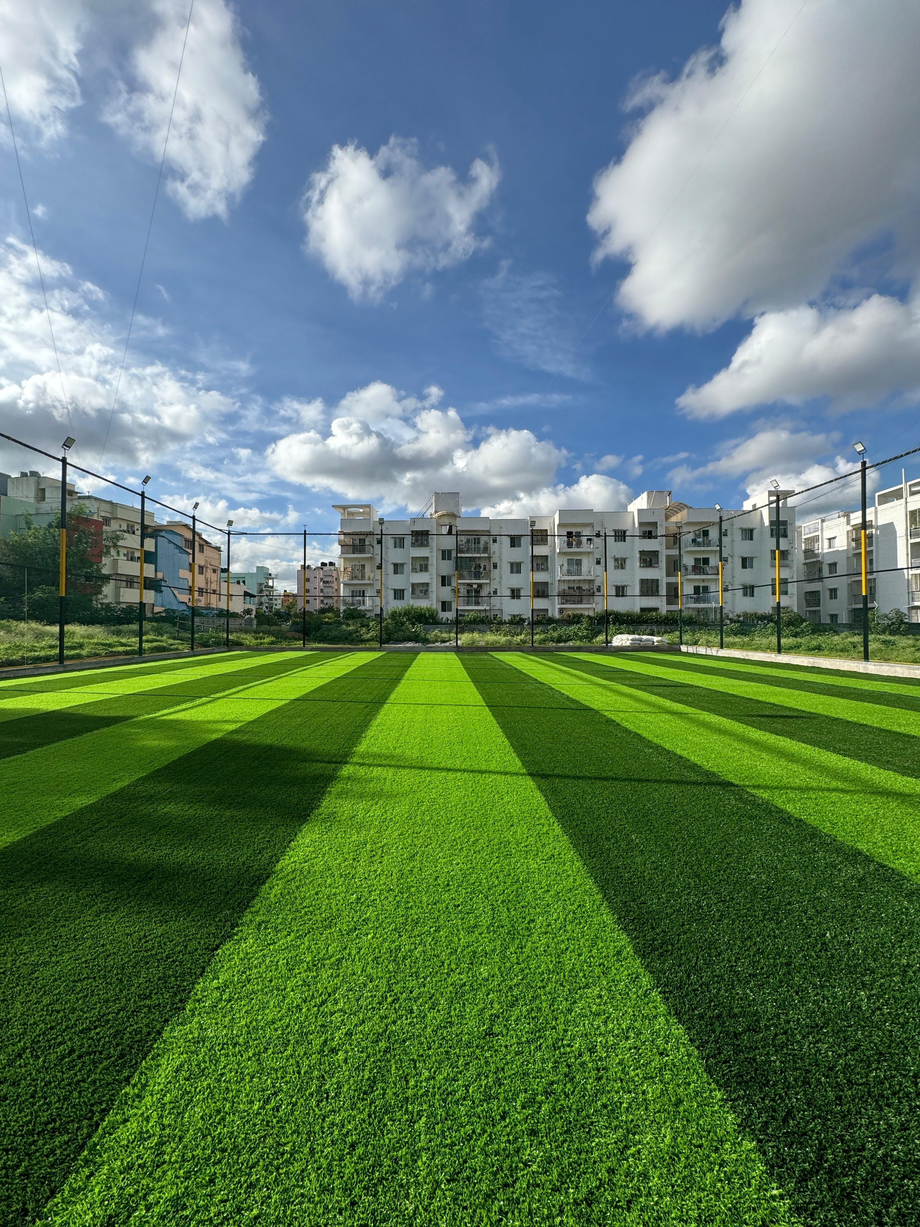 Turf photo 7