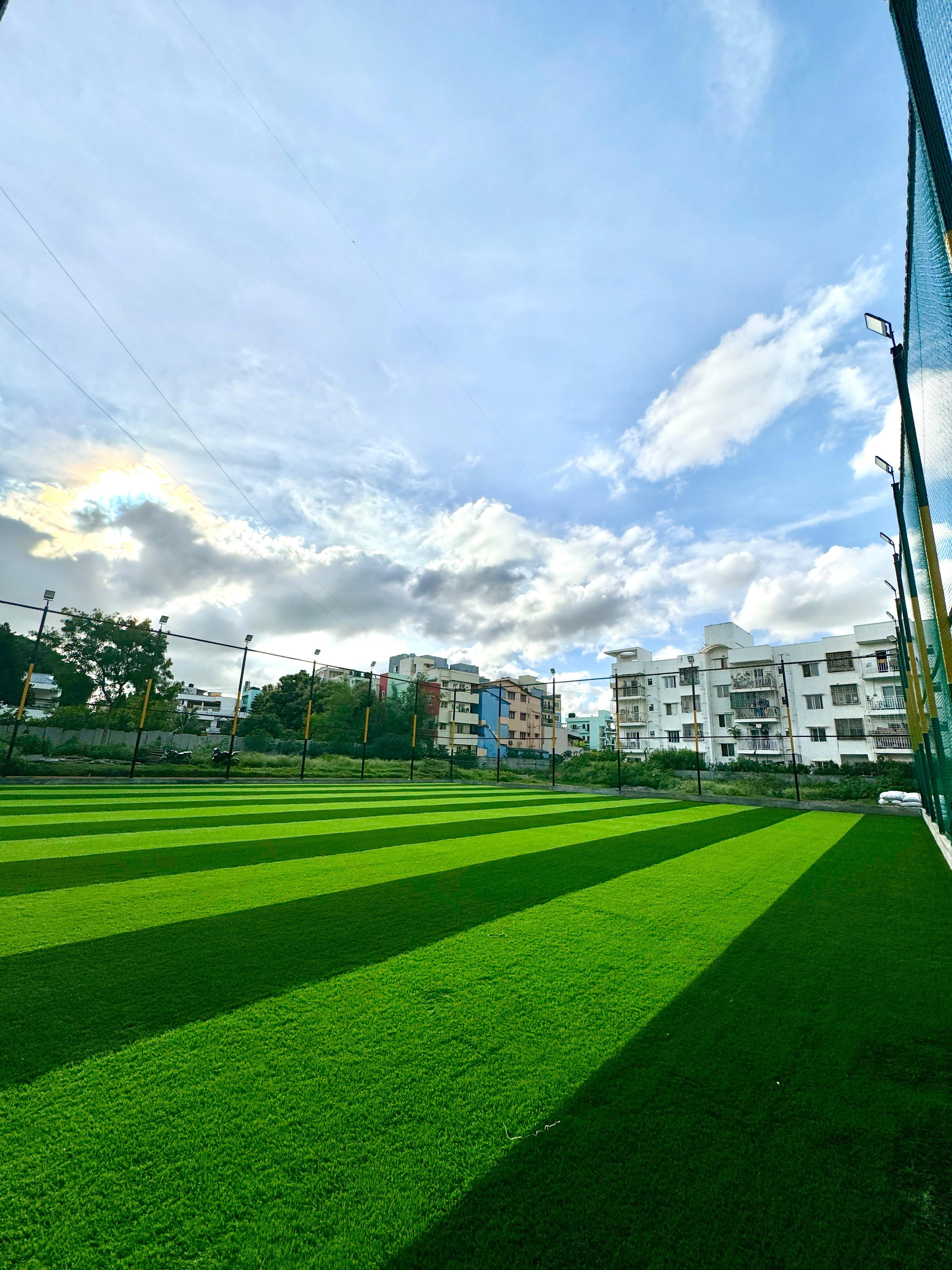 Turf photo 8