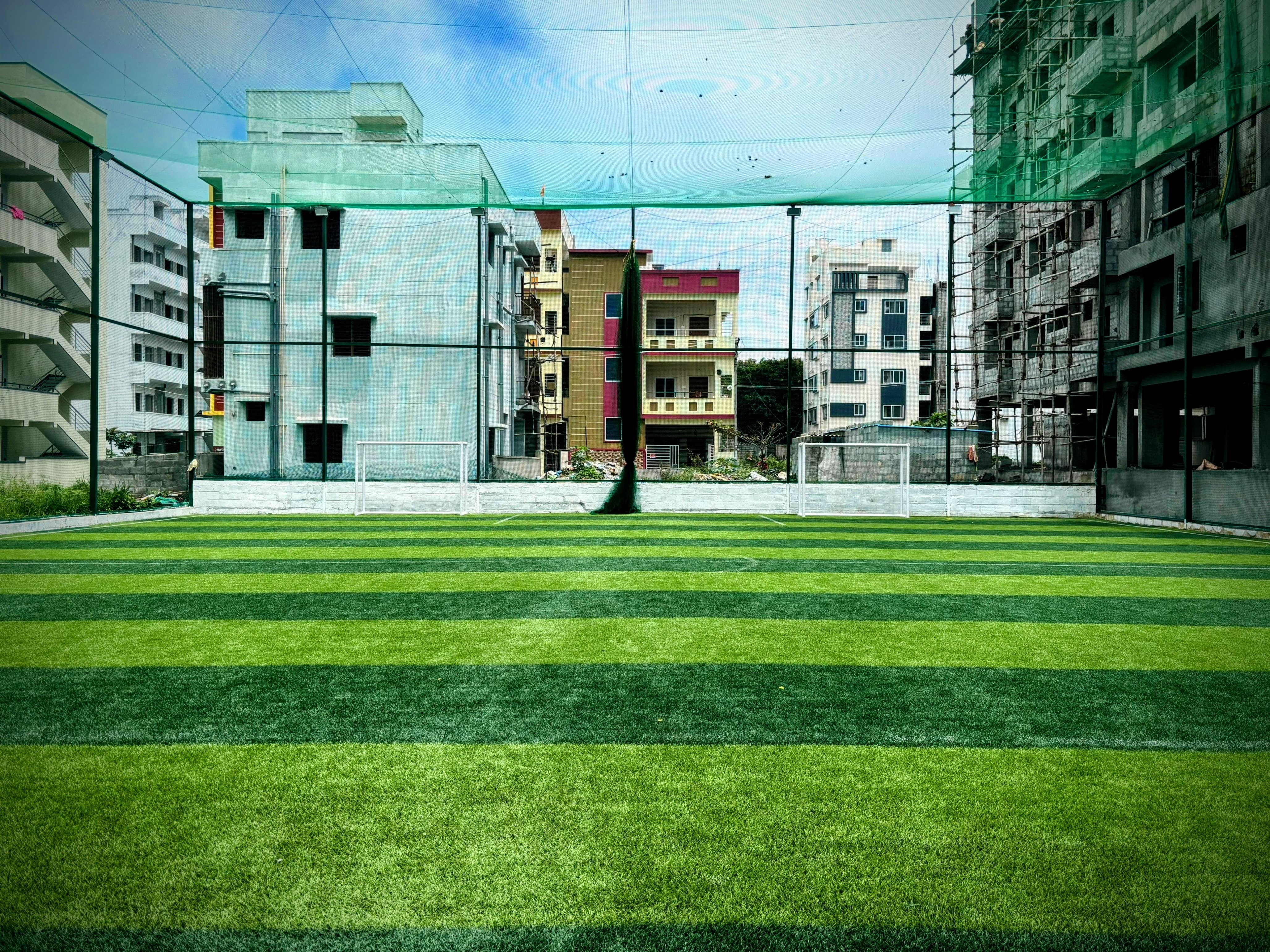 Turf photo 7