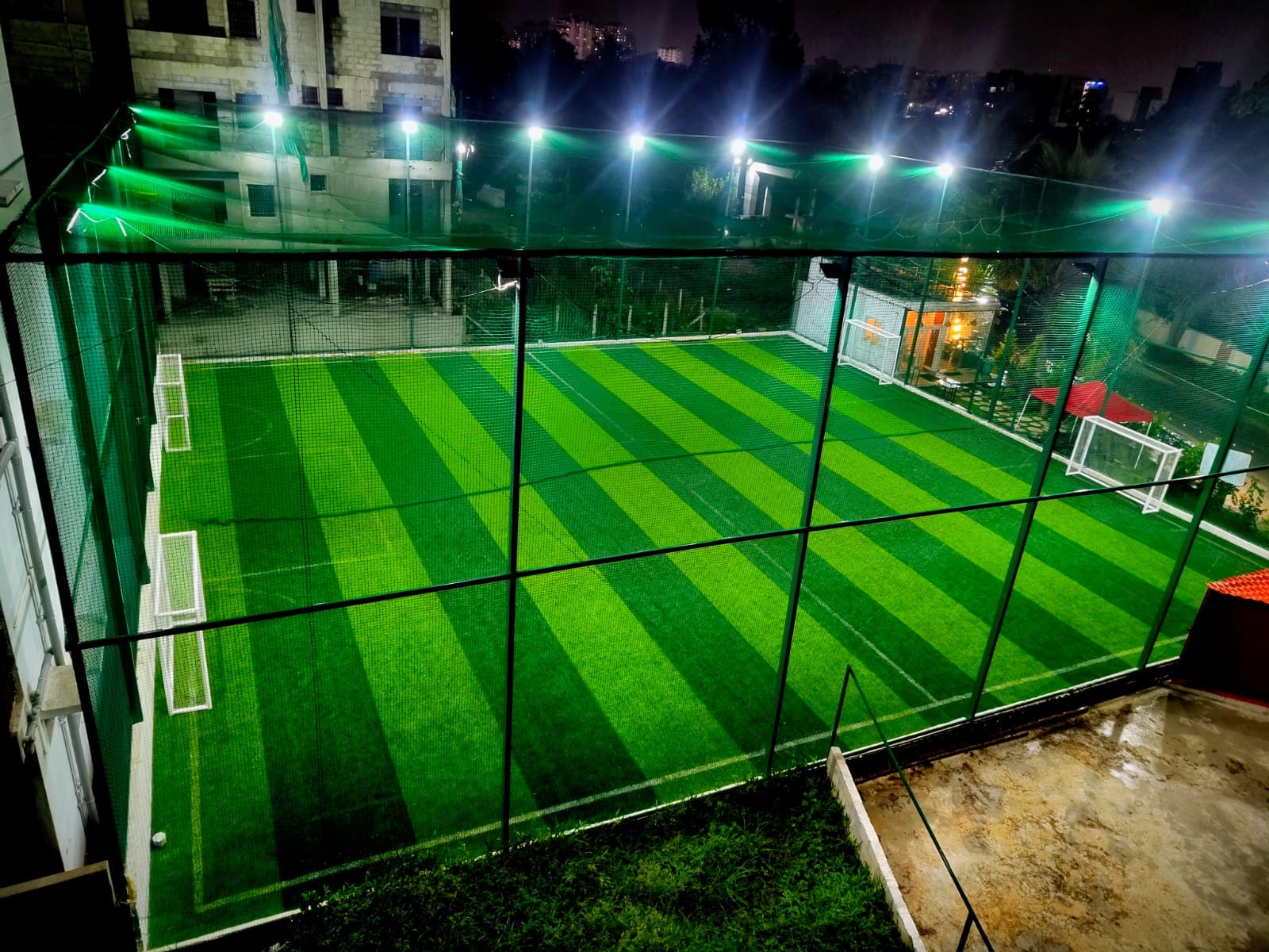 Turf photo 8