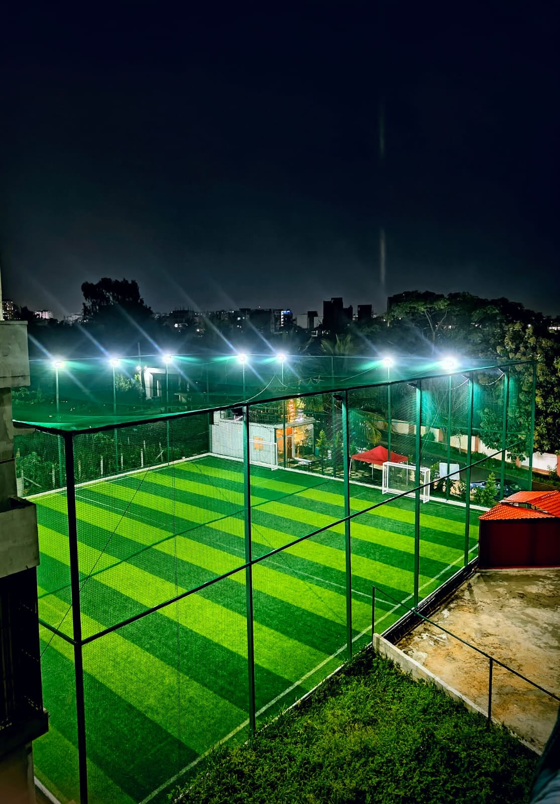 Turf photo 9
