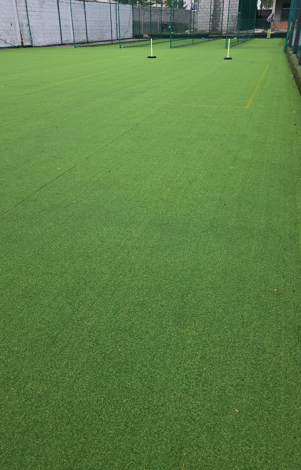 Turf photo 5