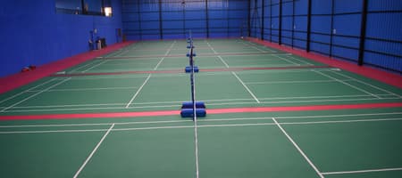 Sportsage Badminton