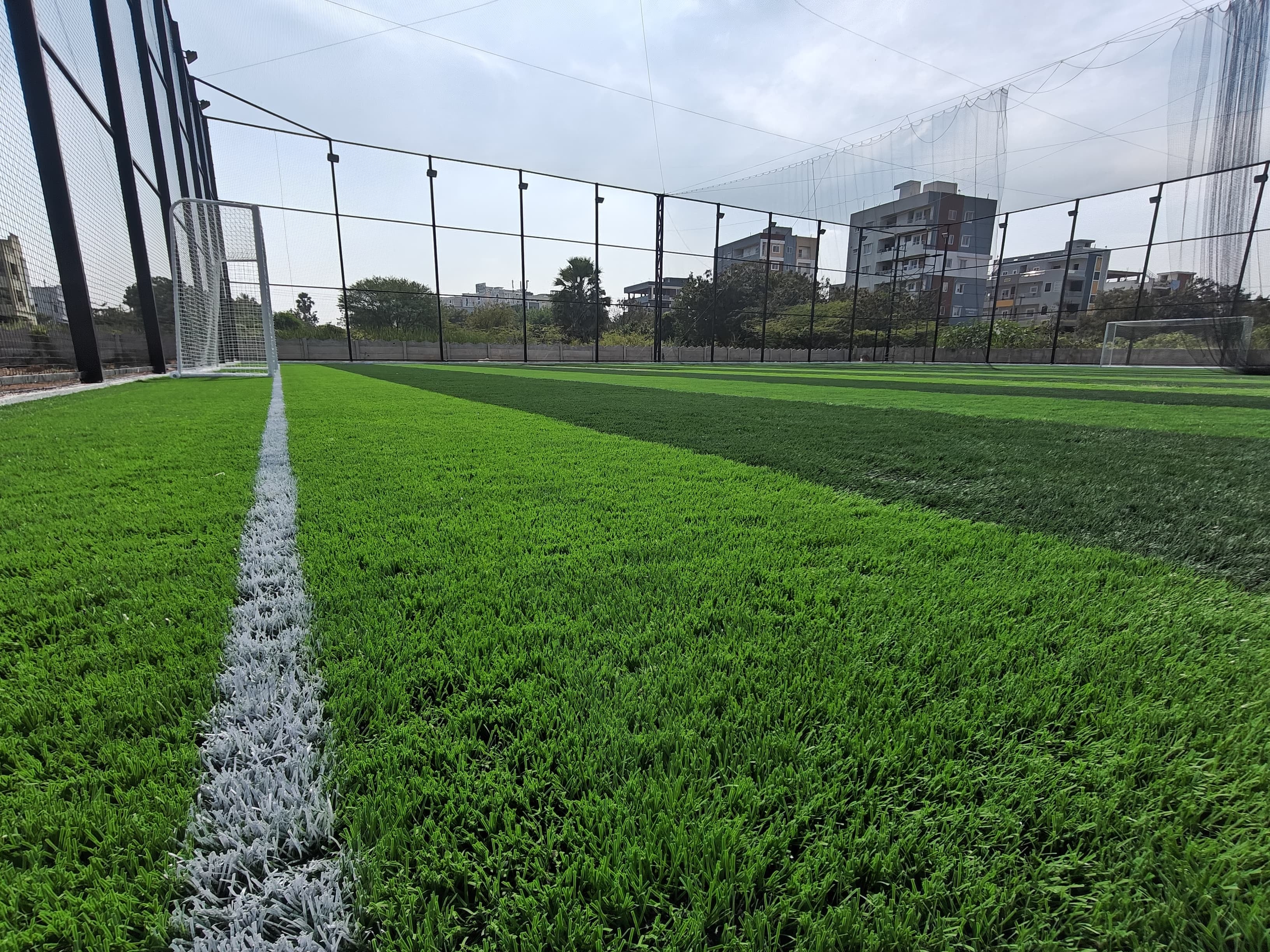 Turf photo 7