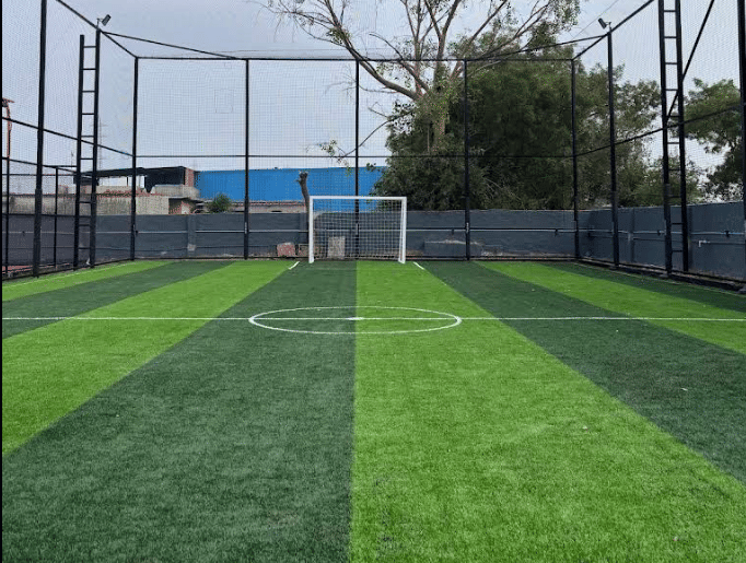 Turf photo 3