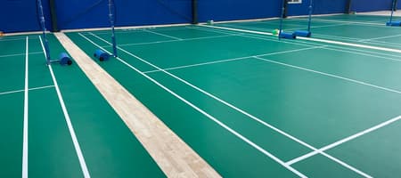 Sportsone Elite Badminton Academy