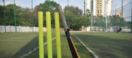 Sports Web - BCFC