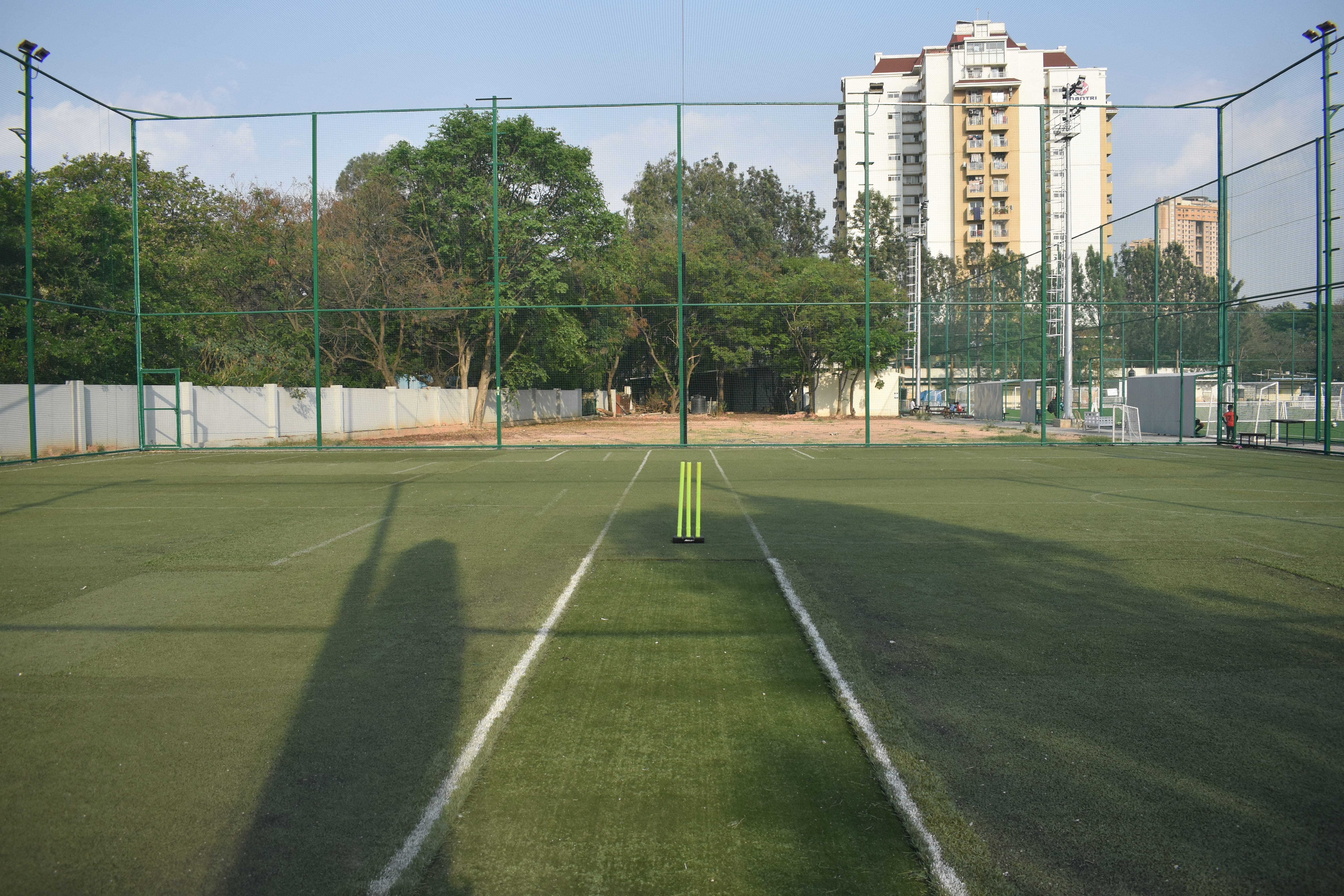 Turf photo 5