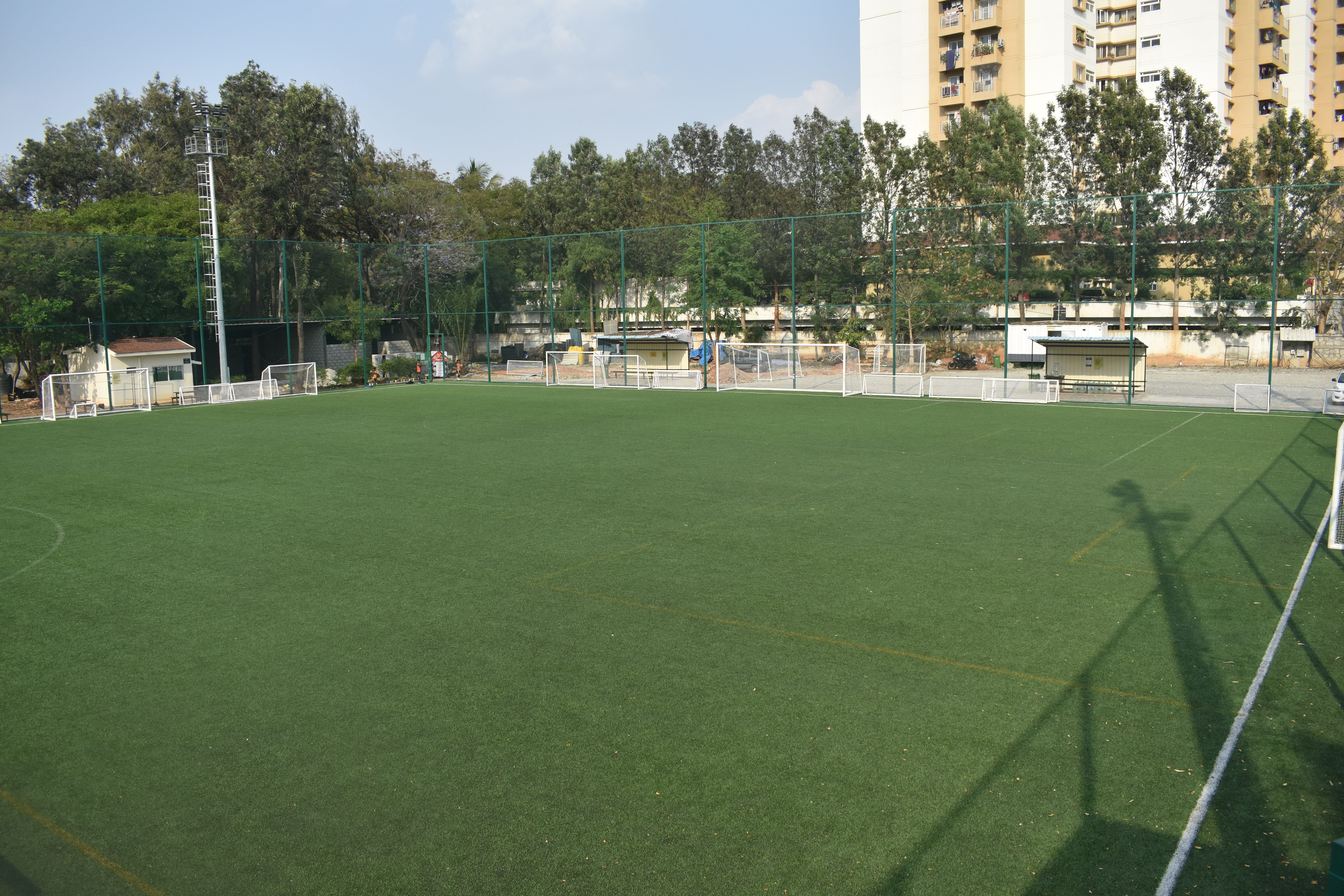 Turf photo 7