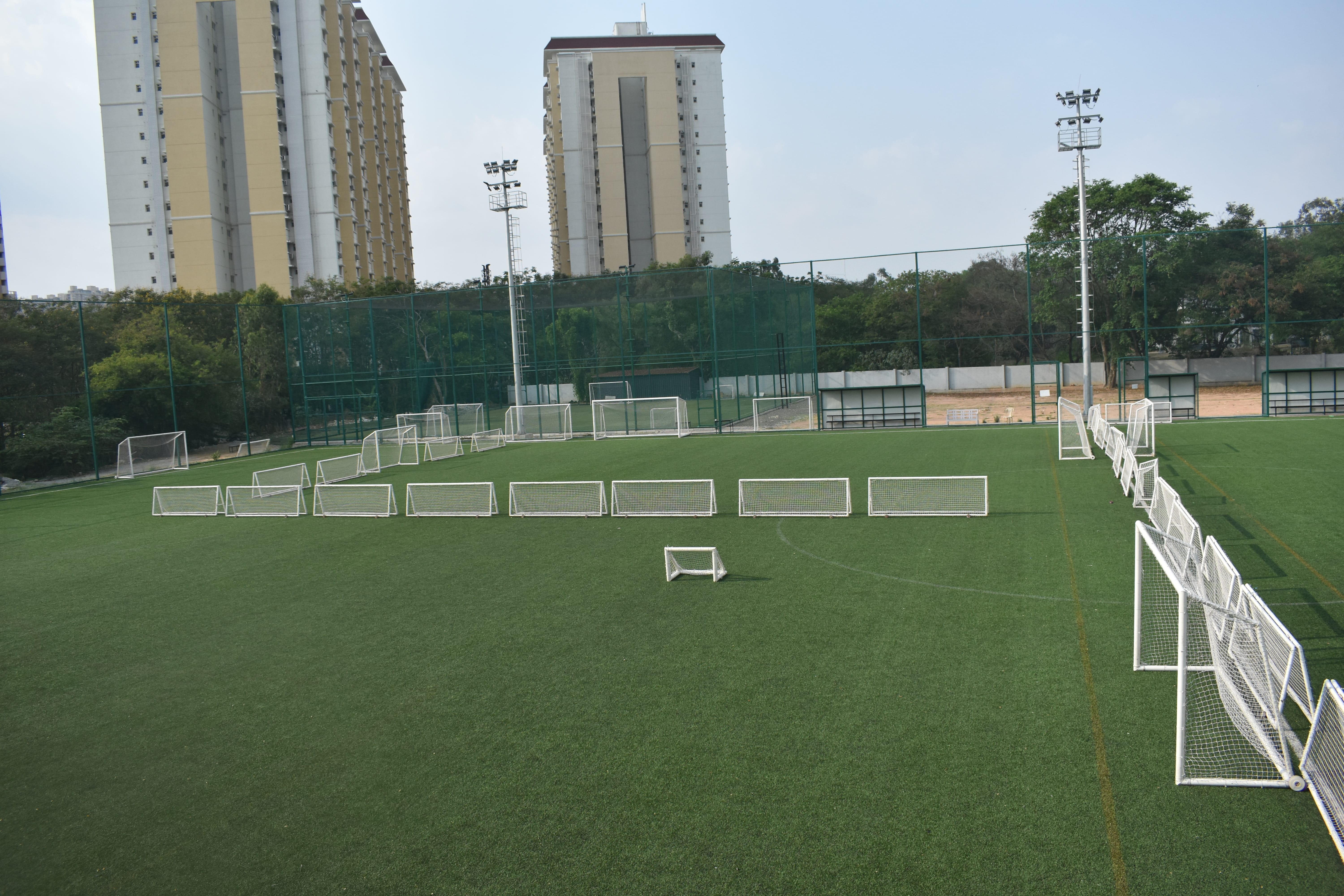 Turf photo 8