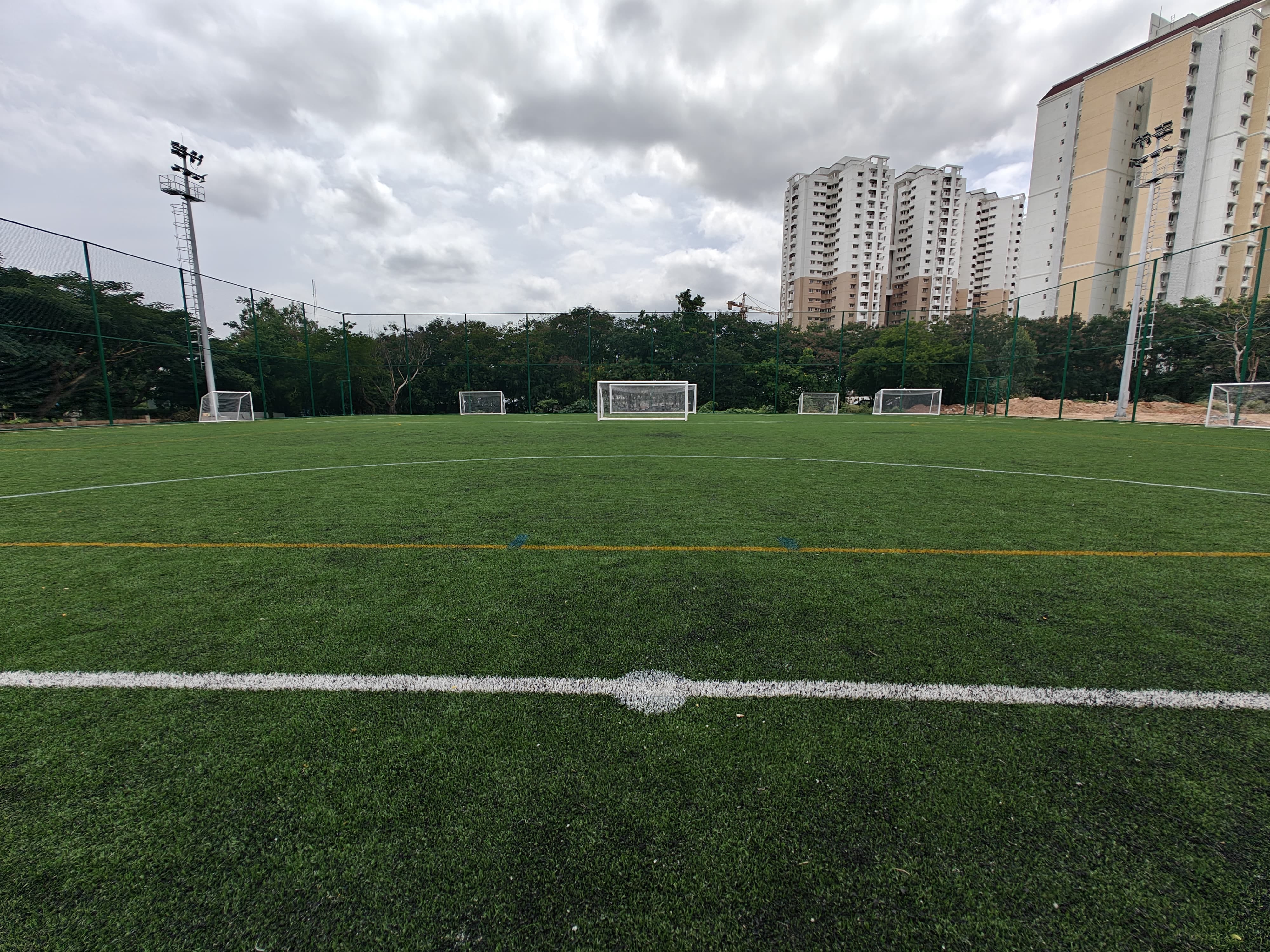 Turf photo 9