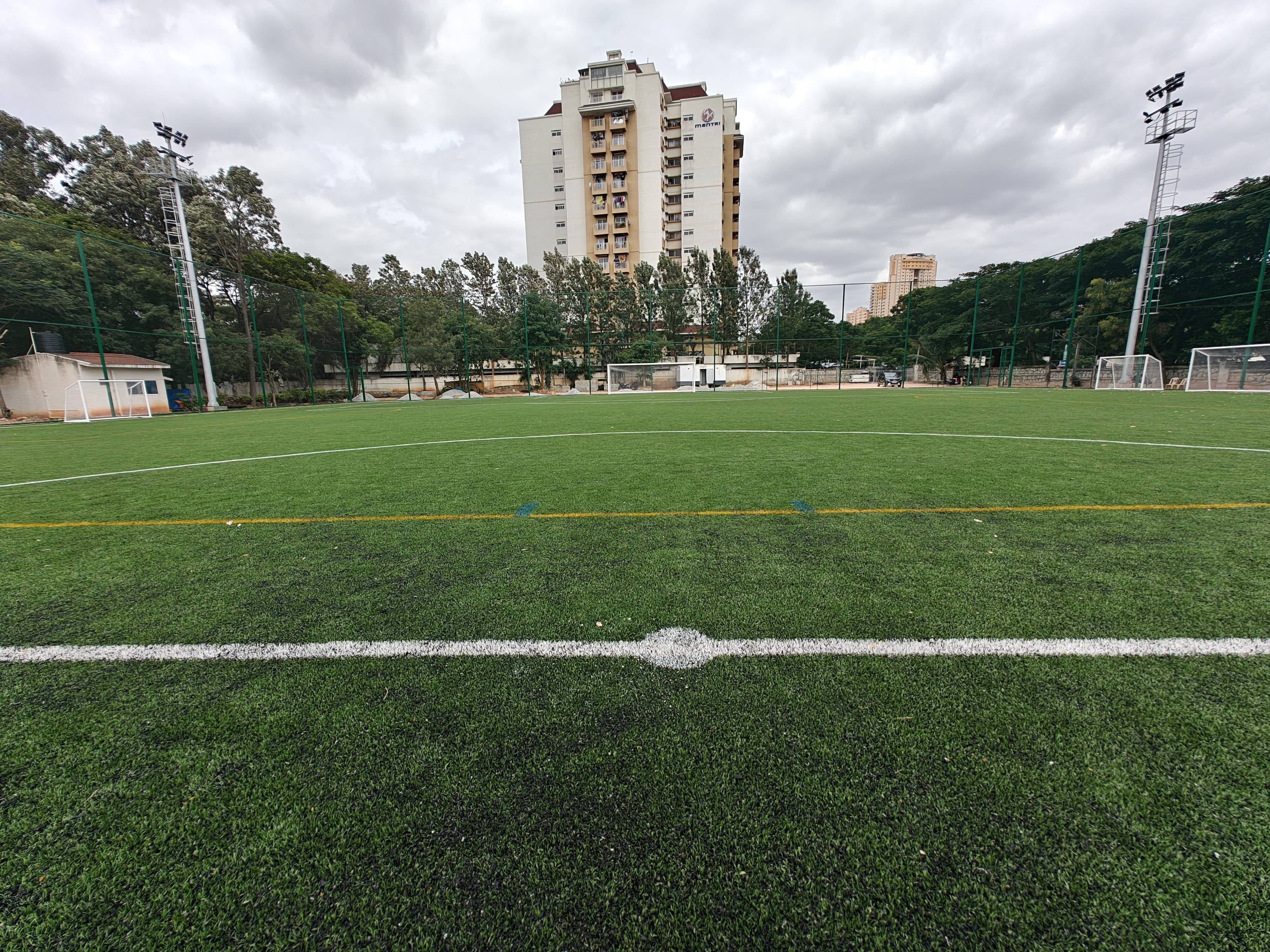 Turf photo 10