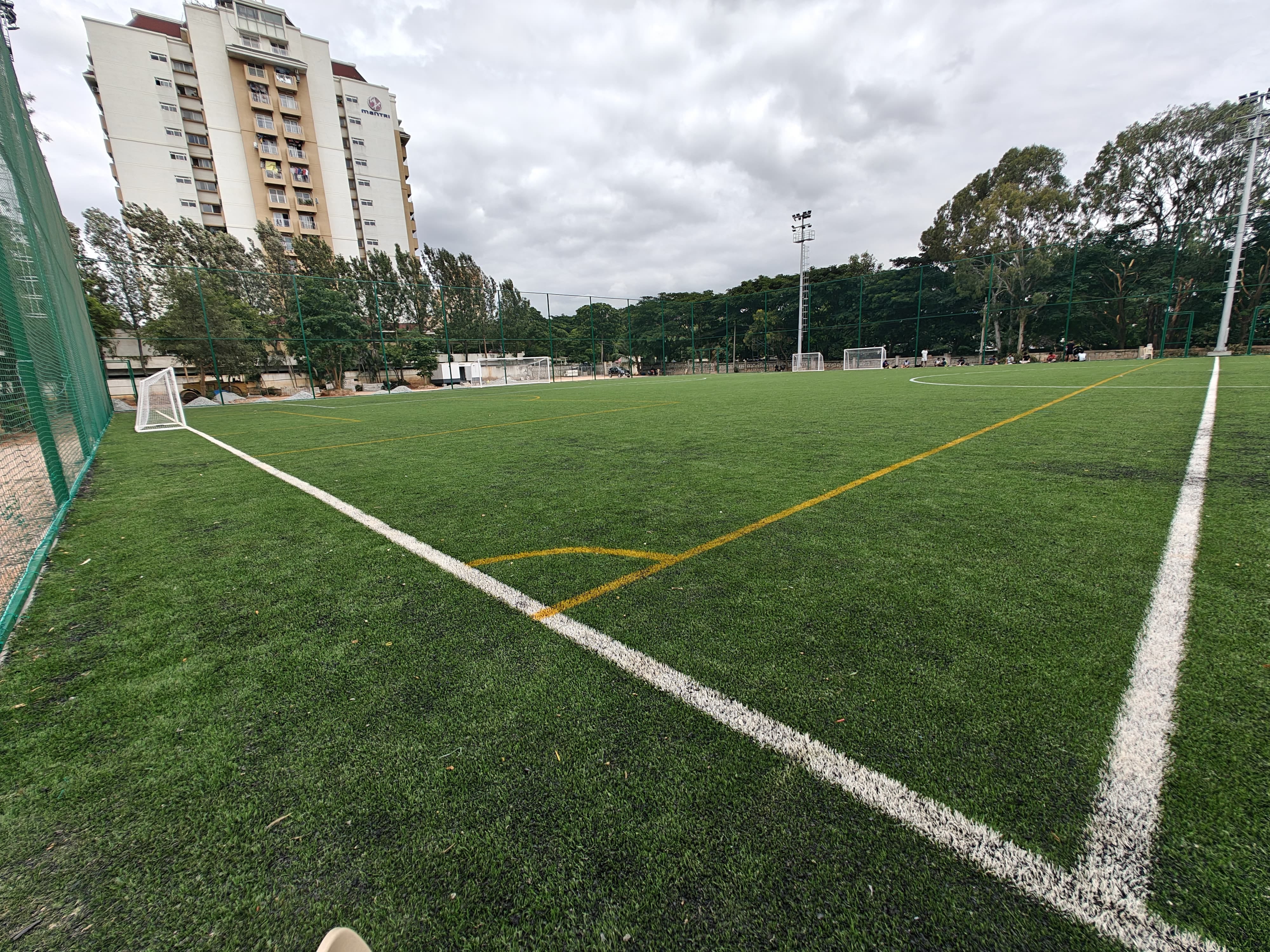 Turf photo 11