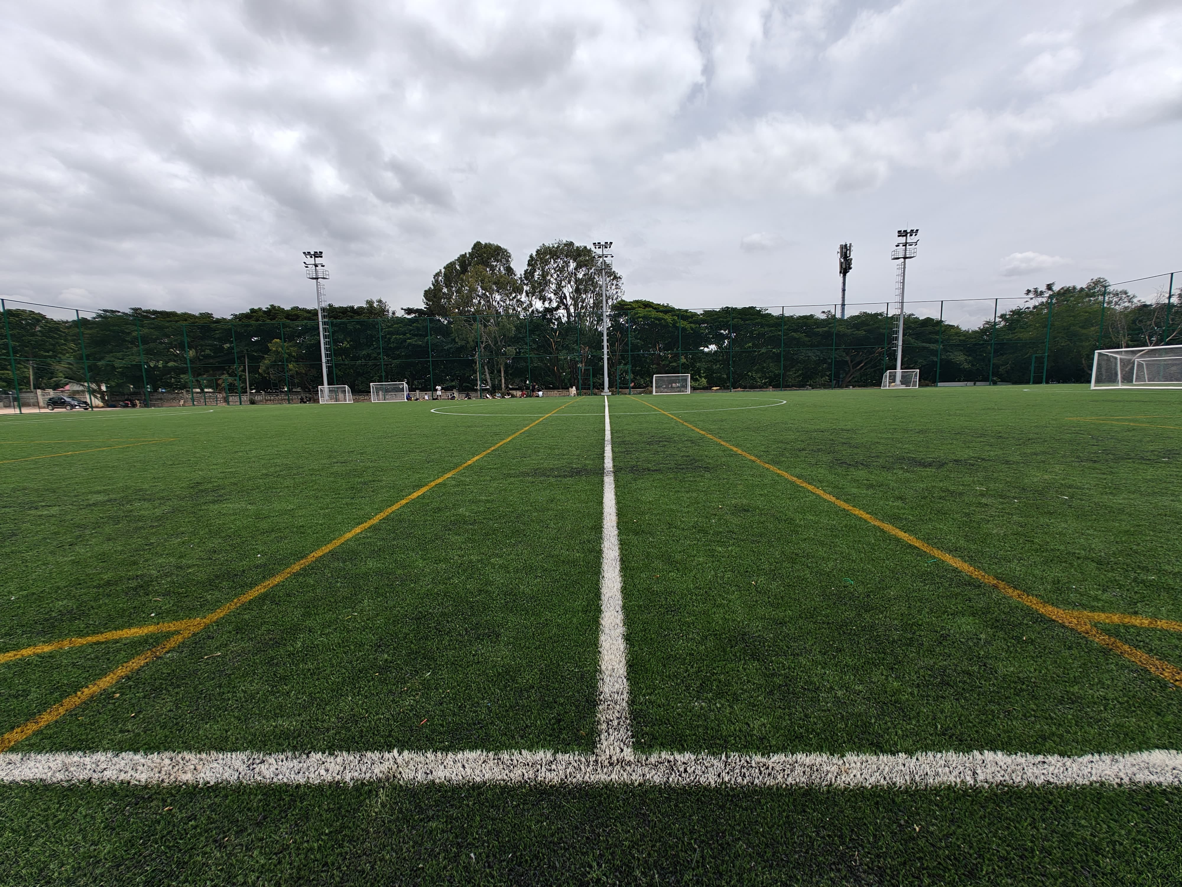 Turf photo 12