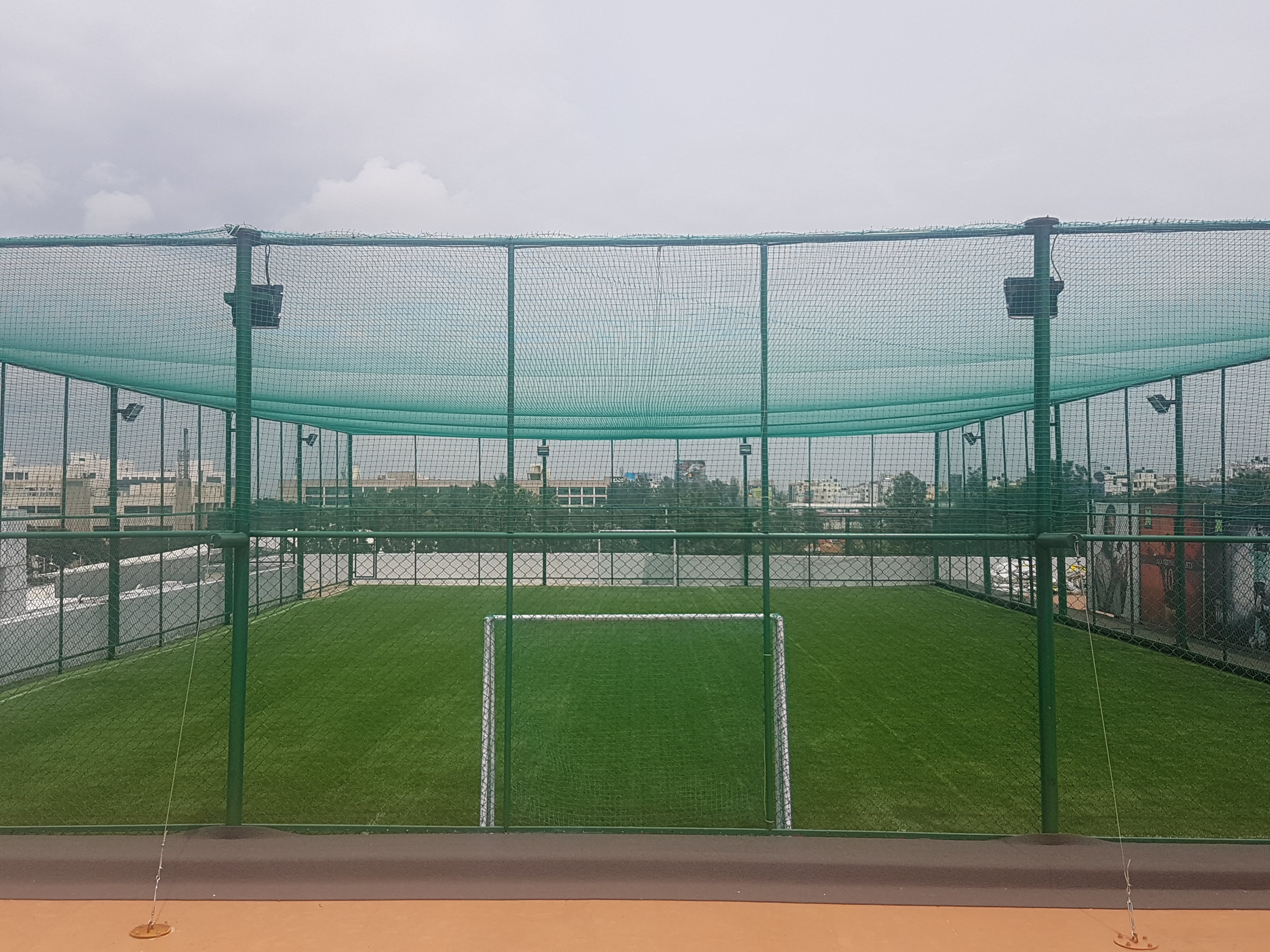 Turf photo 5