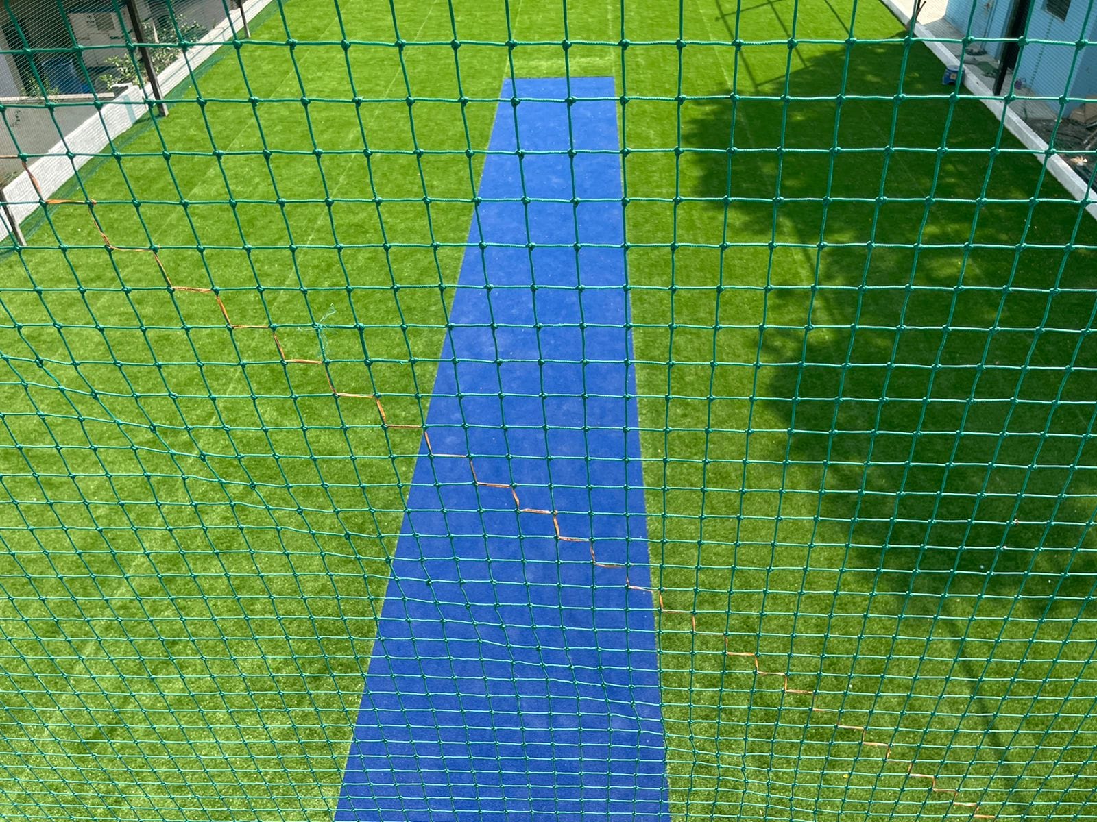 Turf photo 3